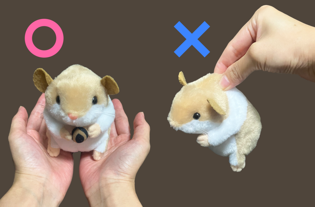 How to grab a hamster.